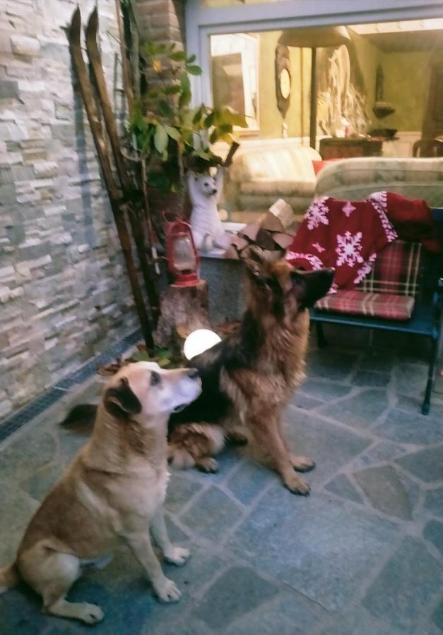 B&B Casa Dell'Orso Лурисия Екстериор снимка