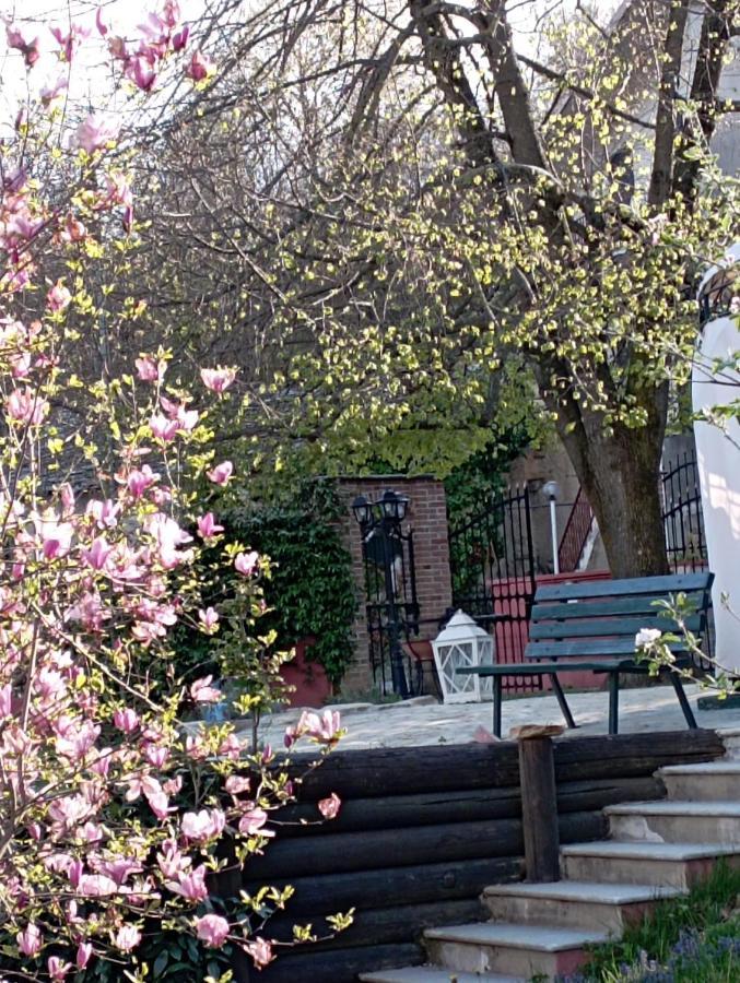 B&B Casa Dell'Orso Лурисия Екстериор снимка