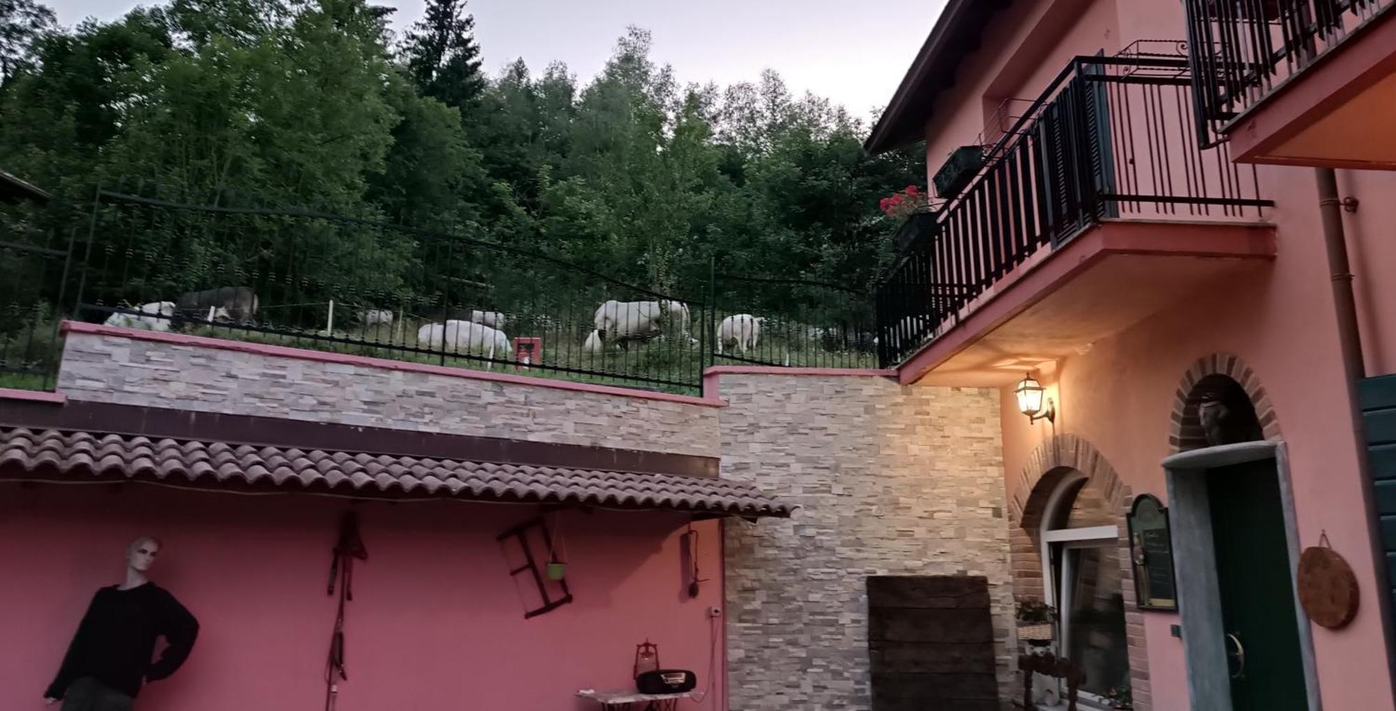 B&B Casa Dell'Orso Лурисия Екстериор снимка